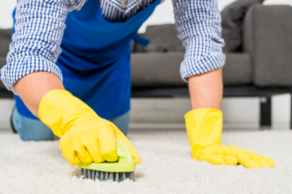 Carpet, Floor covering and windows cleaning